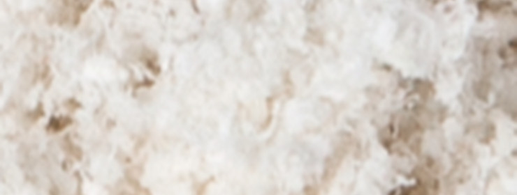 Fibrillar collagen